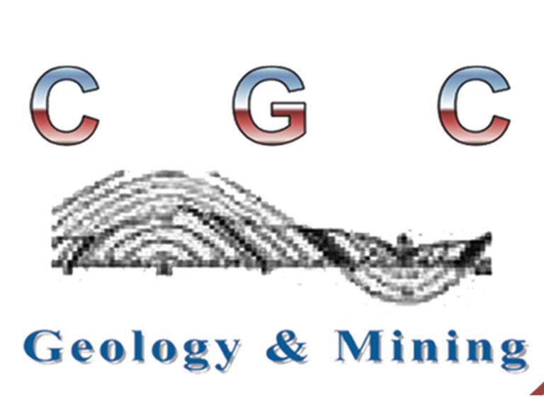 Partner Logo 1