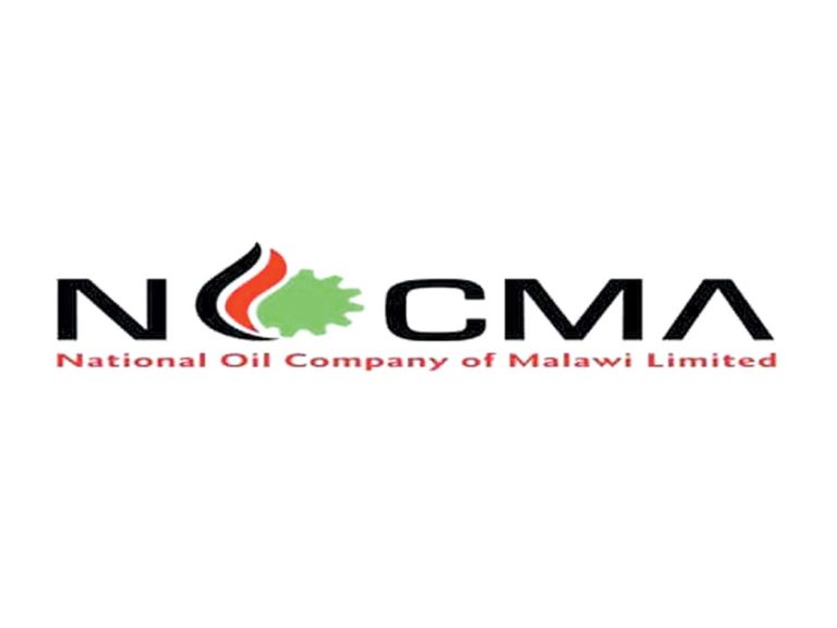Partner Logo 1