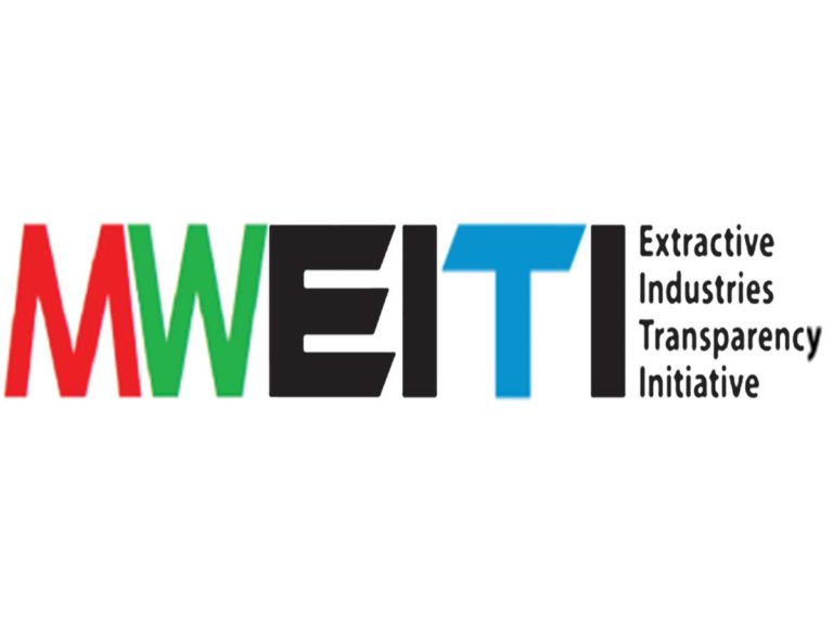 Partner Logo 1