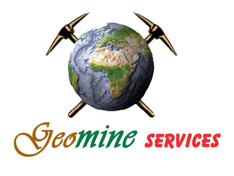 Partner Logo 1