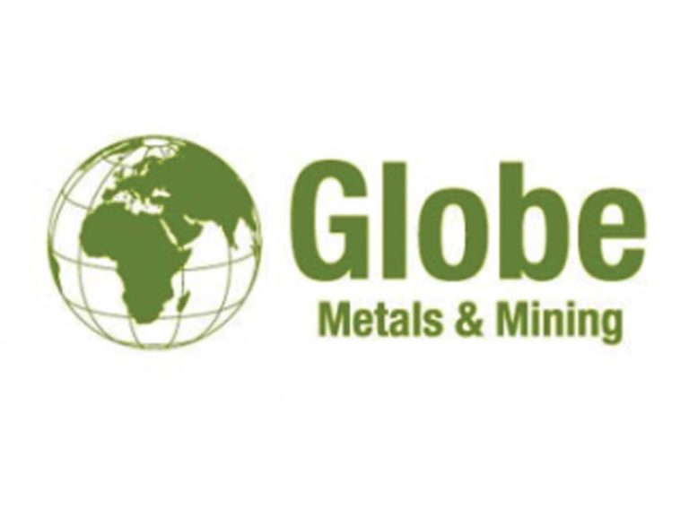 Partner Logo 1