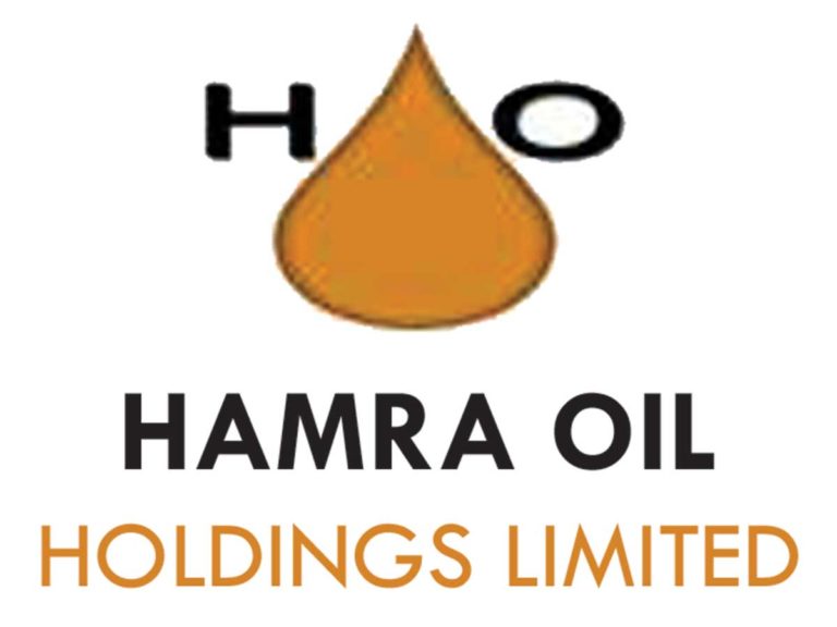 Partner Logo 1