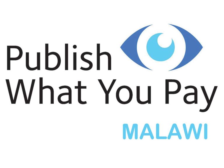 Partner Logo 1