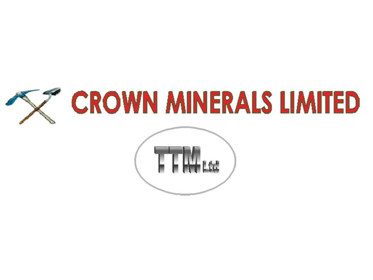 Partner Logo 1